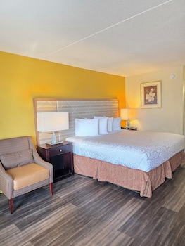 Single Room, 1 King Bed, Pets Allowed