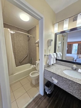 Standard Double Room, 2 Double Beds, Non Smoking, Pets Allowed
