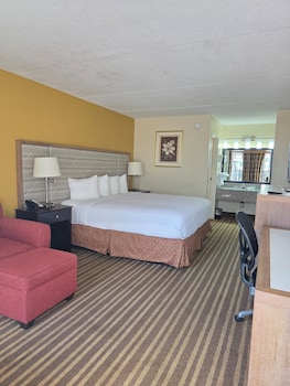 Single Room, 1 King Bed