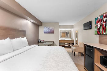 Premium Room, 1 King Bed (Smoke Free, Hypoallergenic)