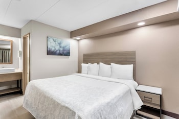 Standard Room, 1 King Bed, Accessible, Non Smoking