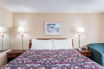 Room, 1 King Bed, Non Smoking