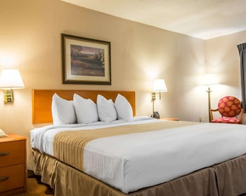 Standard Room, 1 King Bed, Smoking