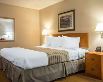 Standard Room, 1 King Bed, Smoking