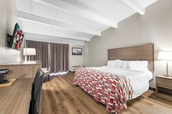 Superior Room, 1 King Bed, Accessible, Non Smoking (Roll-In Shower)