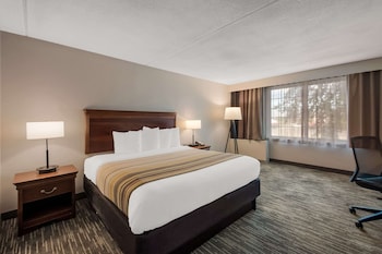 Suite, 1 Bedroom, Non Smoking