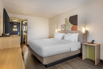 Room, 1 King Bed