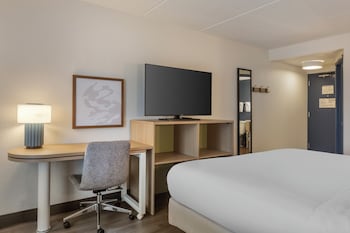Room, 1 King Bed