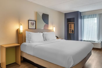 Room, 1 King Bed