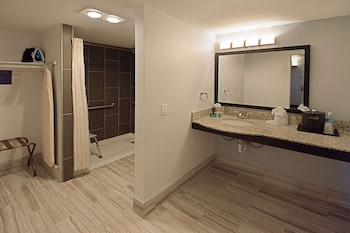 Standard Room, 1 Queen Bed, Accessible, Bathtub