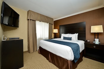 Standard Room, 1 King Bed, Accessible, Non Smoking