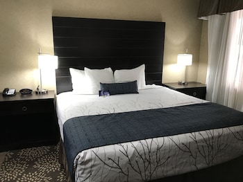 Suite, 1 King Bed, Non Smoking, Kitchenette