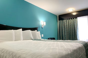 Room, 1 King Bed