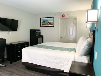 Room, 1 King Bed