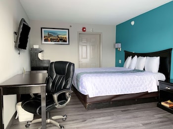 Room, 1 King Bed