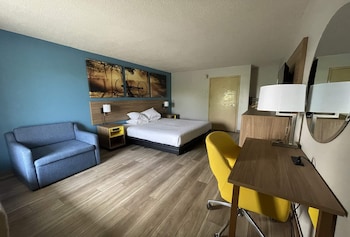 Standard Room, 1 King Bed, Accessible, Non Smoking (Mobility, Roll In Shower)