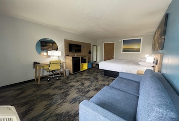 Standard Room, 1 King Bed, Accessible, Non Smoking (Mobility, Roll In Shower)
