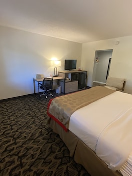 Room, 1 King Bed, Non Smoking (Exterior Corridor)
