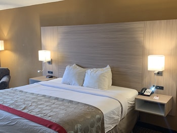 Room, 1 King Bed, Non Smoking (Interior Corridor)