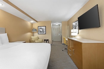 Standard Room, 1 King Bed, Accessible, Non Smoking