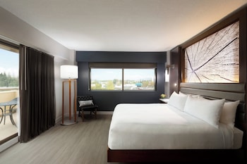 Suite, 1 Bedroom