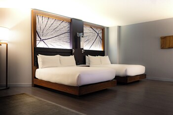 Executive Suite, 2 Queen Beds