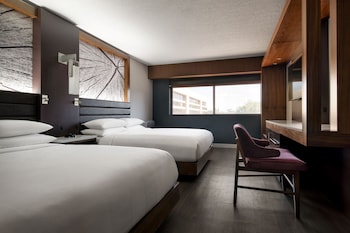 Room, 2 Queen Beds (Mobility Accessible, Roll-in Shower)