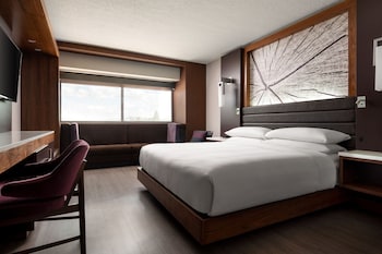 Room, 1 King Bed