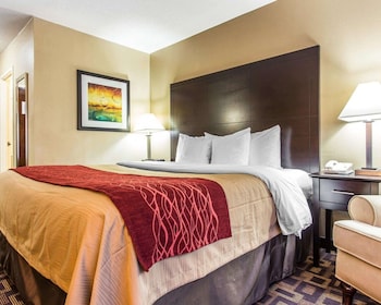 Standard Room, 1 King Bed, Non Smoking