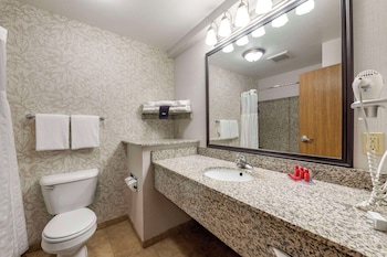 Standard Room, 1 King Bed with Sofa bed, Non Smoking, Refrigerator & Microwave (with Sofabed)
