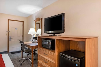 Standard Room, 1 King Bed, Accessible, Non Smoking