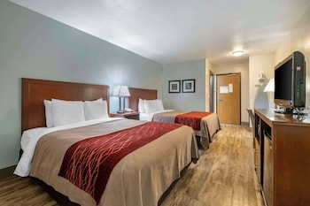 Standard Room, 2 Queen Beds, Non Smoking, Refrigerator & Microwave (Pet Friendly)