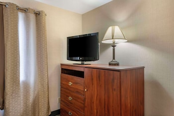 Standard Room, 1 King Bed with Sofa bed, Non Smoking, Refrigerator & Microwave (with Sofabed)