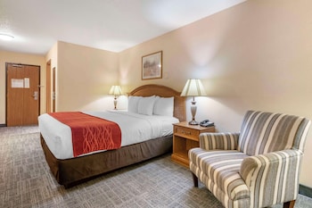 Standard Room, 1 King Bed, Accessible, Non Smoking