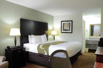 Standard Room, 1 King Bed, Smoking