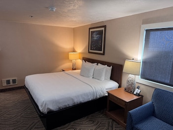 Room, 1 King Bed with Sofa bed