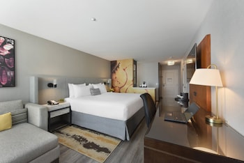 Standard Room, 1 King Bed, Accessible (Roll-In Shower)