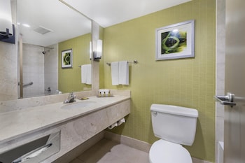 Standard Room, 1 King Bed, Refrigerator, River View (Panoramic View)