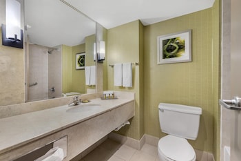 Standard Room, 1 King Bed, Refrigerator, River View