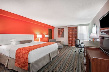 Room, 1 King Bed, Non Smoking
