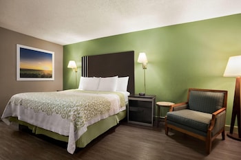 Standard Room, 1 King Bed