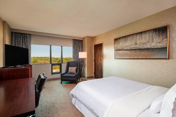 Room, 1 Queen Bed