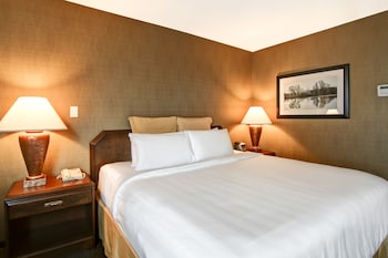 Standard Room, 1 King Bed, River View