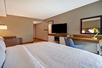 Room, 1 King Bed with Sofa bed (Mobility & Hearing, Roll-in Shower)