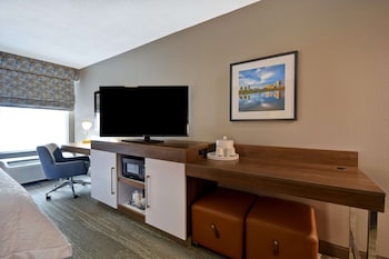Room, 1 King Bed with Sofa bed