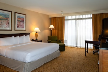 Room, 1 King Bed, Balcony