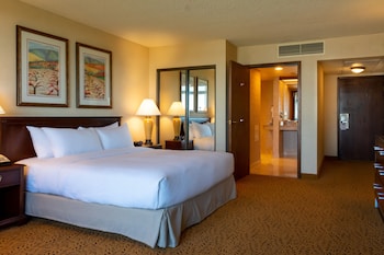 Room, 1 King Bed, Accessible, Bathtub (Mobility)