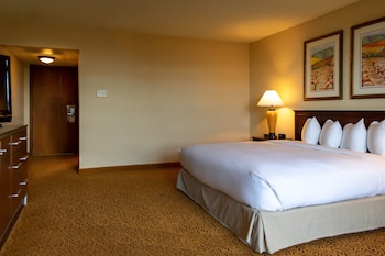 Room, 1 King Bed, Balcony