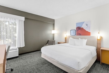 Room, 1 King Bed