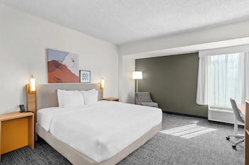 Room, 1 King Bed, Accessible (Mobility, Roll-In Shower)